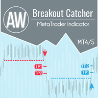AW Breakout Catcher, фото 1