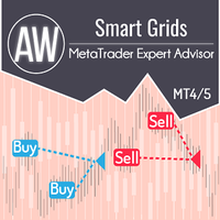 AW Smart Grids EA, фото 1